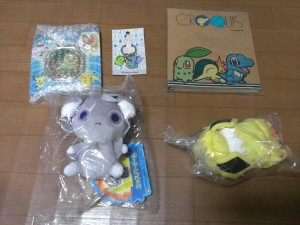 IMAG7321_R