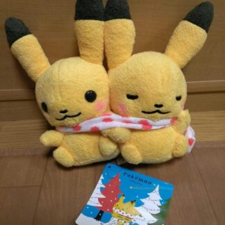 IMAG8662_R